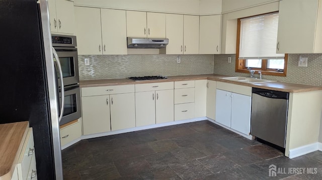 53 Suydam St, New Brunswick, NJ 08901 - kitchen featuring appliances with stainless steel finishes, under cabinet range hood, a sink, backsplash, and light countertops
