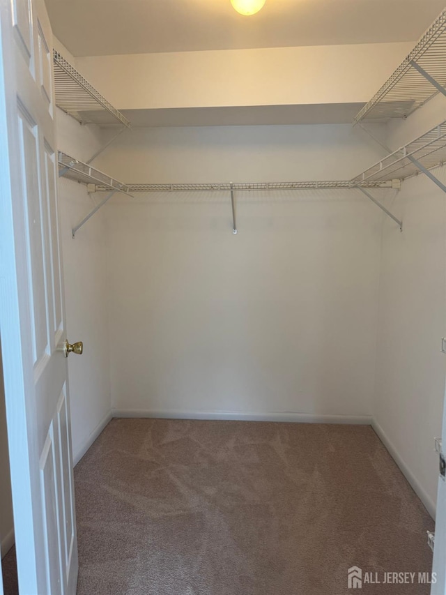 112 Biscayne Ct Unit 8, West Windsor, NJ 08540 - walk in closet featuring carpet floors