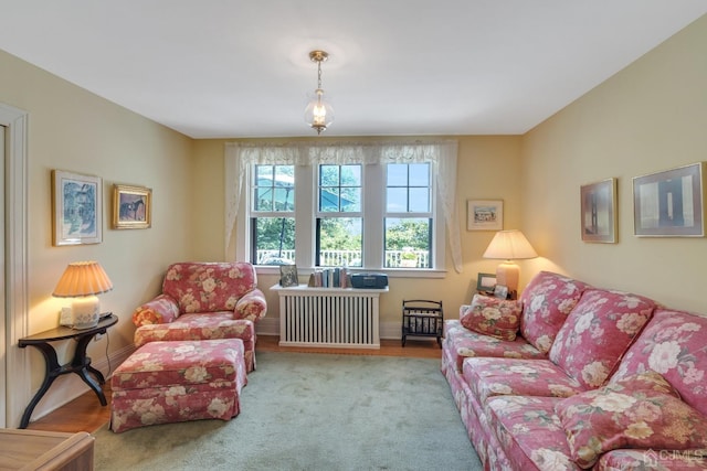 living room with radiator heating unit and light hardwood / wood-style flooring