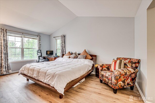 7 Cambridge Ct, East Brunswick, NJ 08816 - bedroom featuring lofted ceiling and light wood-type flooring