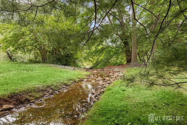 11 Excalibur Ct, Old Bridge, NJ 08857 - view of yard featuring a wooded view