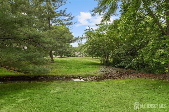 11 Excalibur Ct, Old Bridge, NJ 08857 - view of grassy yard
