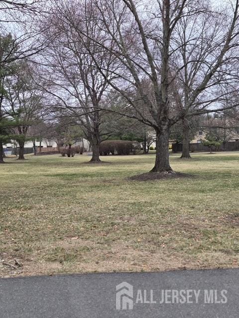view of grassy yard