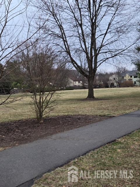 view of grassy yard