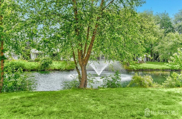 view of water feature