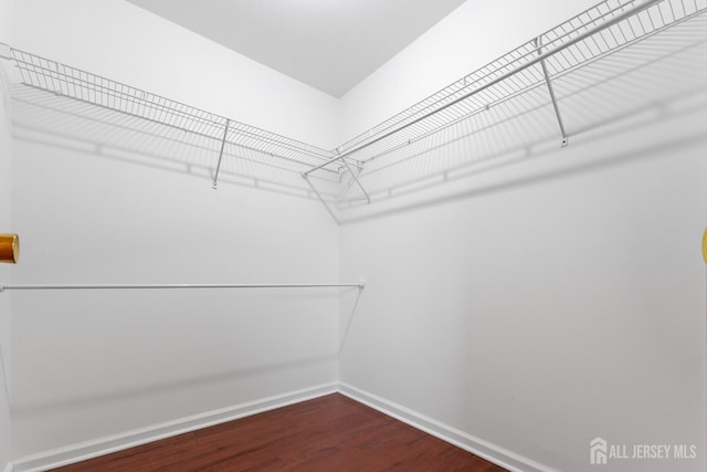 spacious closet featuring dark wood-style floors