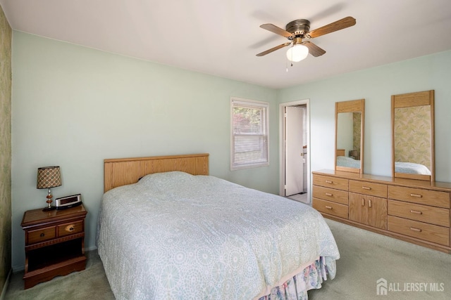 32 Drake Ave, Monroe, NJ 08831 - bedroom with light carpet and ceiling fan