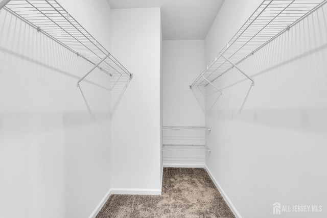 116 Forest Dr, Piscataway, NJ 08854 - spacious closet with carpet flooring