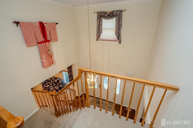 10 Gillian Dr, South Brunswick, NJ 08824 - photo 23