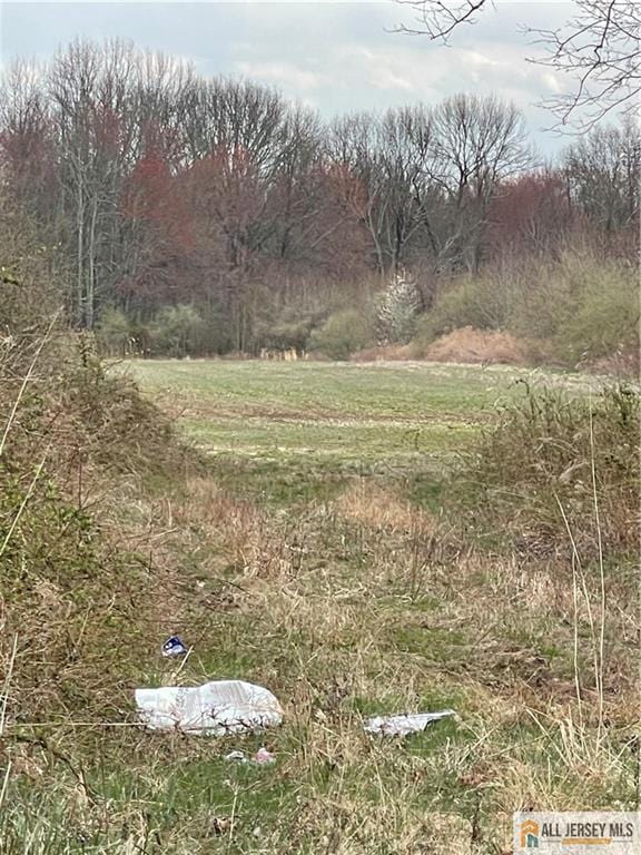 view of yard with a rural view