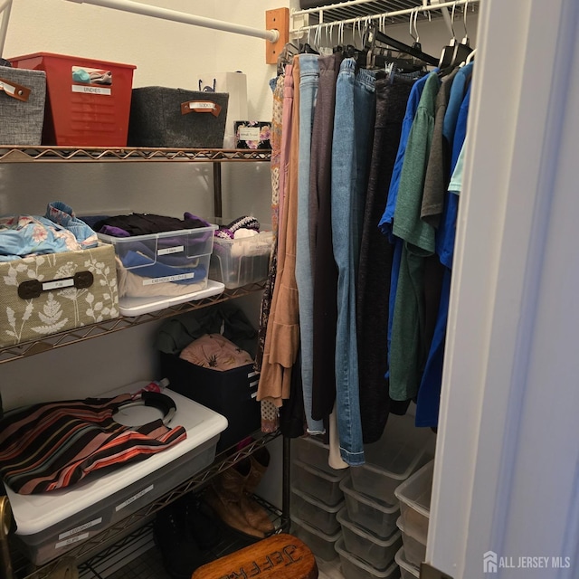 view of spacious closet