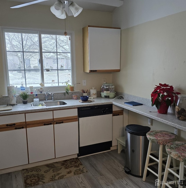 kitchen with dishwasher, white cabinets, and dark hardwood / wood-style floors