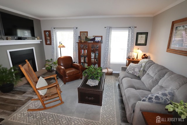 living room featuring wood finished floors, a fireplace, and crown molding