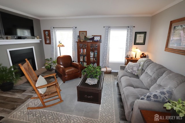 106 E Moss Mill Rd E Unit T-34, Galloway, NJ 08205 - living room featuring wood finished floors, crown molding, and a fireplace