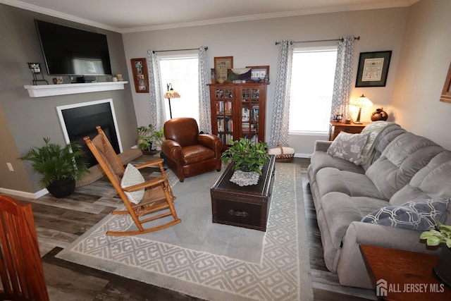 living area featuring a fireplace, crown molding, baseboards, and wood finished floors