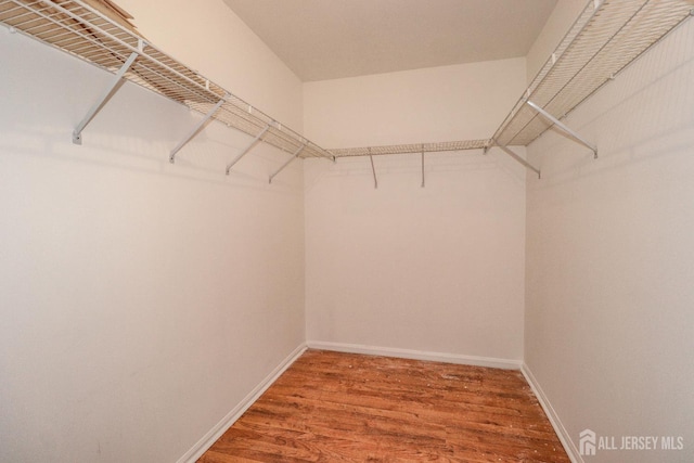 8 Staudt Ct, Franklin, NJ 08873 - walk in closet with wood finished floors