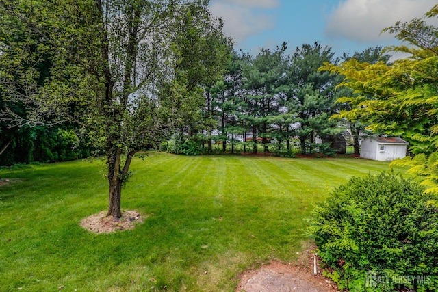 8 Staudt Ct, Franklin, NJ 08873 - view of grassy yard with a storage shed