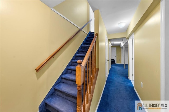 19 Edgegrove St, Edison, NJ 08837 - stairs with carpet flooring