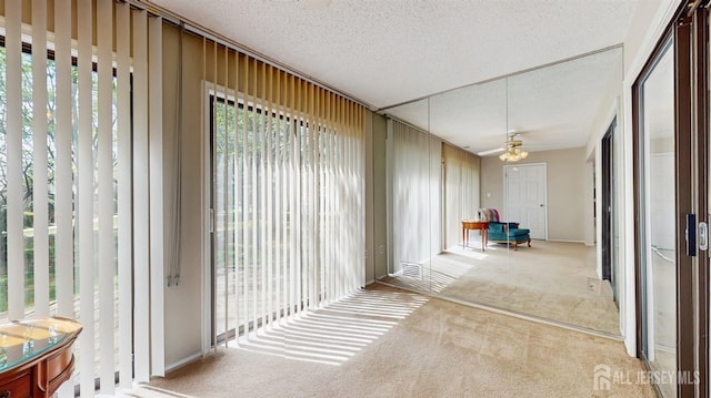 234 Wycoff Way E, Brunswick, NJ 08816 - sunroom / solarium with carpet floors and a textured ceiling
