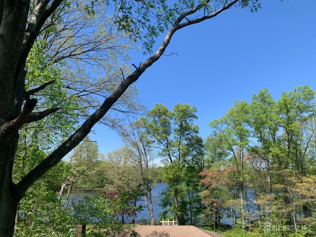 3 Garden Ter, East Brunswick, NJ 08850 - photo 3