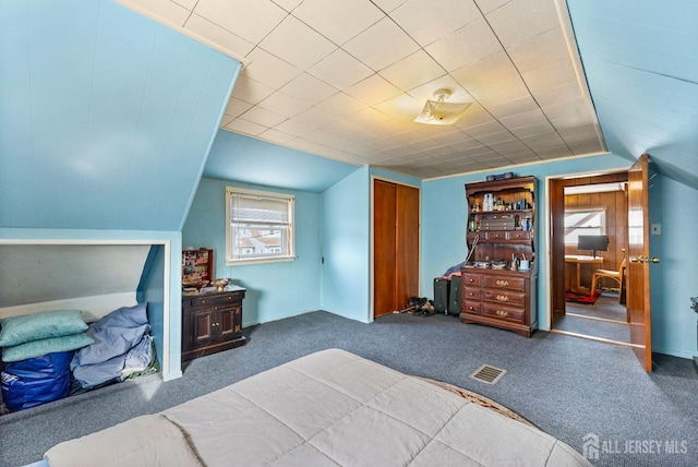 carpeted bedroom with vaulted ceiling and a closet