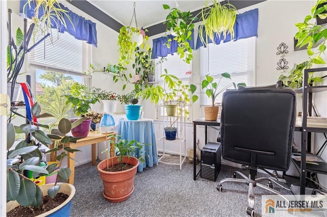 6 Hermann St, Carteret, NJ 07008 - carpeted office space featuring plenty of natural light