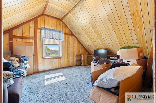 6 Hermann St, Carteret, NJ 07008 - bedroom with vaulted ceiling, carpet flooring, wooden walls, and wood ceiling