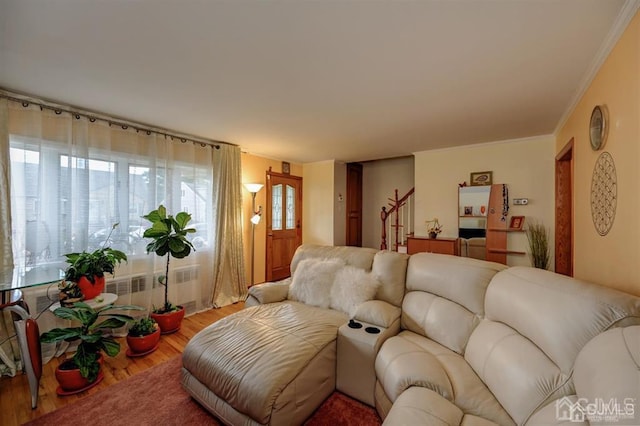 living area featuring crown molding and wood finished floors