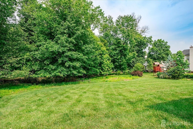 36 Jared Blvd, South Brunswick, NJ 08824 - view of green lawn
