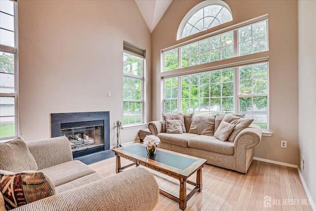 36 Jared Blvd, South Brunswick, NJ 08824 - living room with light wood-style floors, healthy amount of natural light, a glass covered fireplace, and high vaulted ceiling