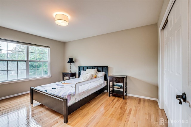 36 Jared Blvd, South Brunswick, NJ 08824 - bedroom with light wood-type flooring and a closet