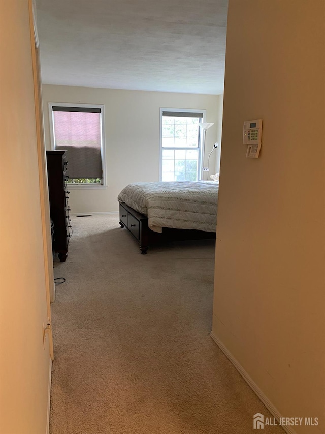 28 Rothwell Dr, Monroe, NJ 08831 - photo 20