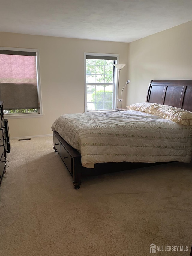 28 Rothwell Dr, Monroe, NJ 08831 - photo 22