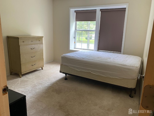 28 Rothwell Dr, Monroe, NJ 08831 - photo 18