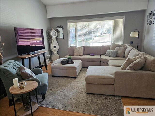 living room with hardwood / wood-style flooring