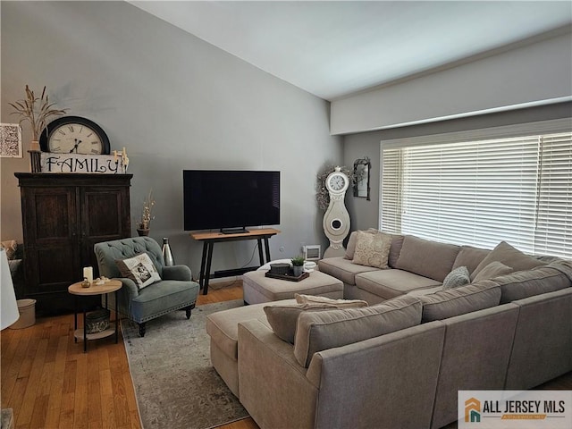 living room featuring vaulted ceiling and wood finished floors