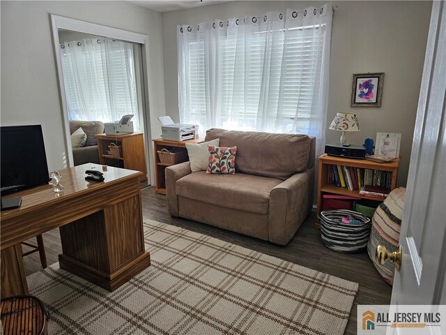 office space with hardwood / wood-style flooring and a wealth of natural light