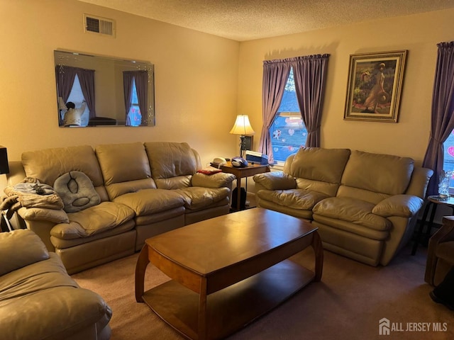 carpeted living room featuring a textured ceiling