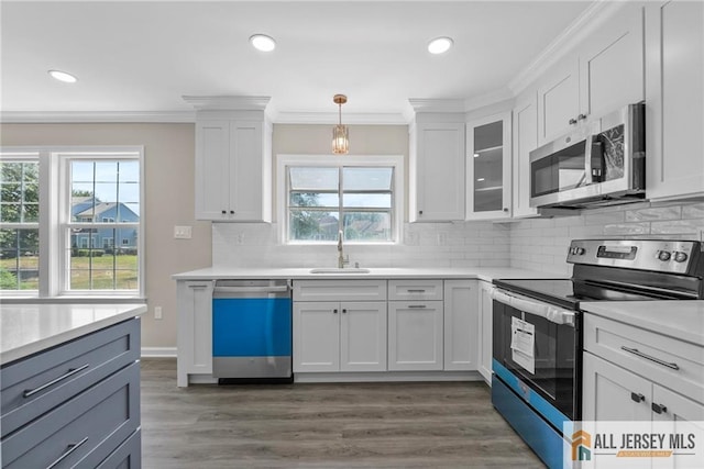 kitchen with white cabinetry, dark wood-type flooring, and stainless steel appliances