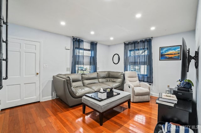 living room with wood-type flooring