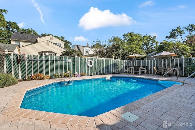 view of pool with a patio