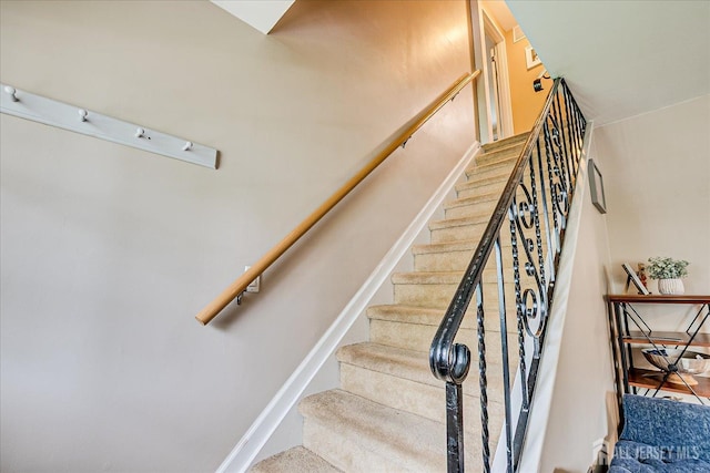 7 Darwin Rd, Franklin, NJ 08873 - photo 22