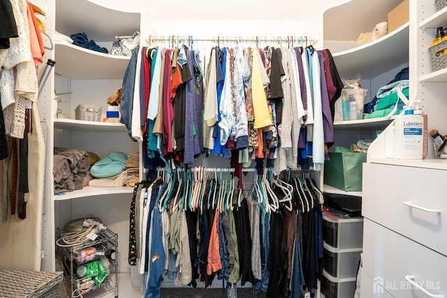 view of spacious closet