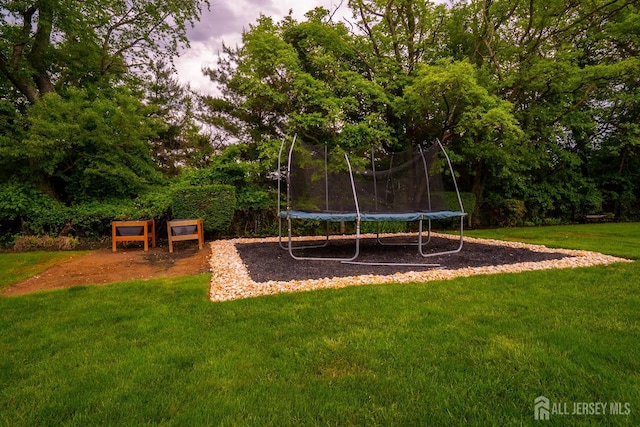view of green lawn with a trampoline
