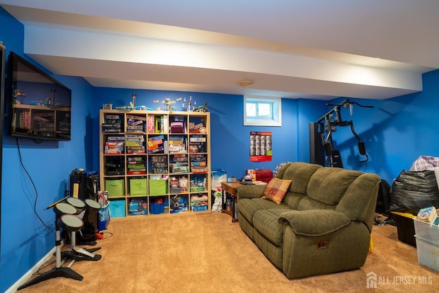 living area featuring carpet flooring