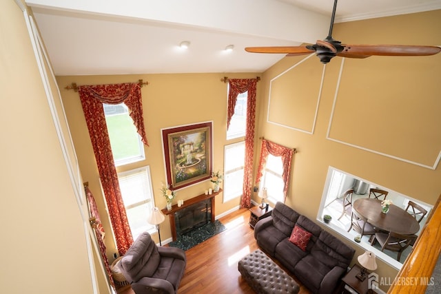 living room with a premium fireplace, healthy amount of natural light, wood finished floors, and ceiling fan