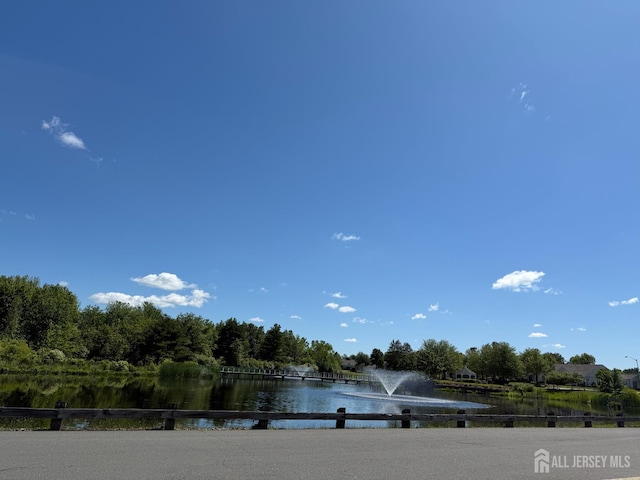 306 Kinglet Dr, Monroe, NJ 08831 - water view