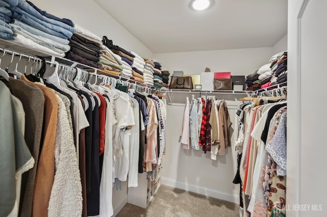 22 Sadowski Dr, Old Bridge, NJ 08857 - spacious closet with carpet floors