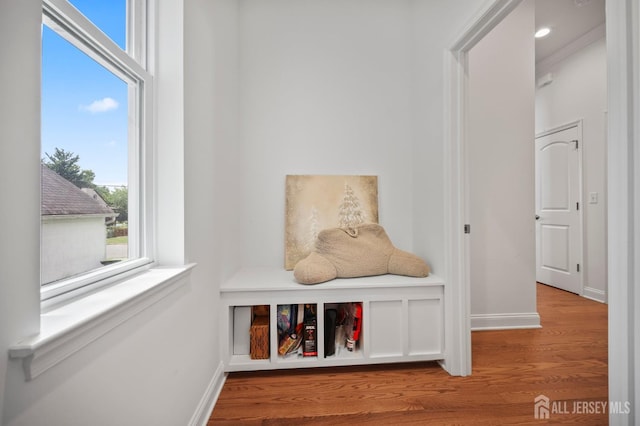 22 Sadowski Dr, Old Bridge, NJ 08857 - detailed view of wood finished floors and baseboards