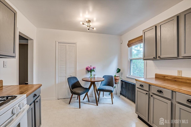 414 Graham St, Highland Park, NJ 08904 - kitchen with gray cabinets, radiator, white stove, and butcher block counters